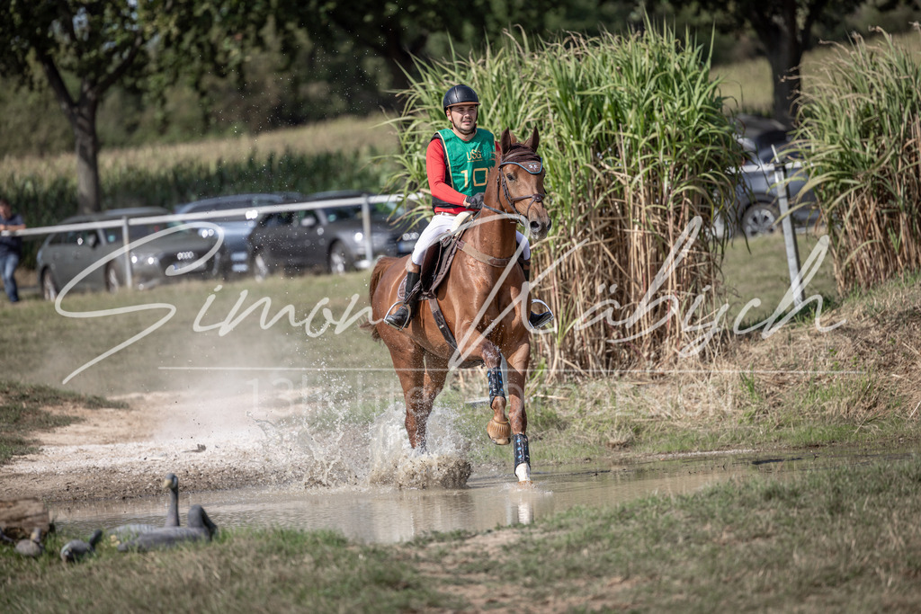 20250907-_3LI1267 | Tierfotografie Pferde, Hunde, Katzen, Haustiere.
Turnierfotografie Reitturniere, Reiten, Springreiten, Dressur in Hanau, dem Main-Kinzig-Kreis und dem Rhein-Main- Gebiet um Frankfurt