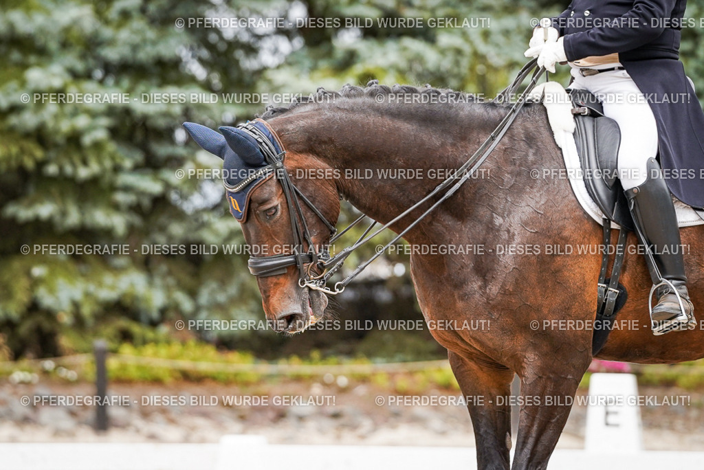 DSC05035 | Pferdegrafie