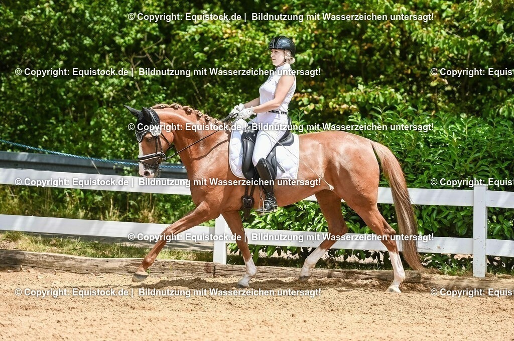 20230716_03_Dressurprfg. Kl.L - Tr._0500 | equistock