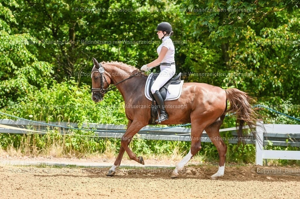 20230715_05_Dressurprüfung Kl.A++_0032 | equistock