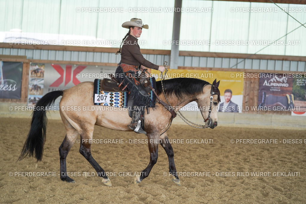 DSC00162 | Pferdegrafie