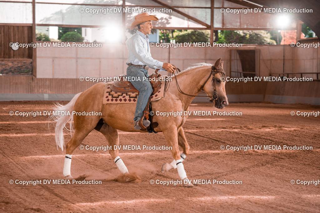 NE201191 | dv-media-shop - Realisiert mit Pictrs.com