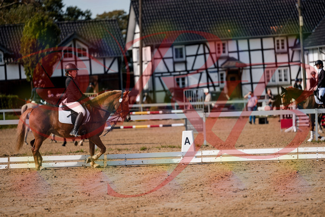 2026_10_03_Siefer-Hof_122038_Z63_43526608 | Professionelle Reitsport-, Turnier- und Eventfotografie von Robert Broda. Galerien mit ausgewählten und bearbeiteten Bildern direkt online ansehen und bestellen.