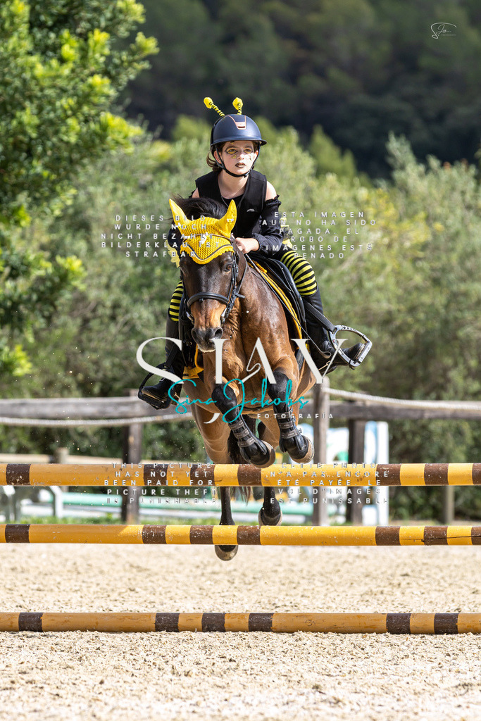 IMG_2617 | s-jay-photography - Realisiert mit Pictrs.com