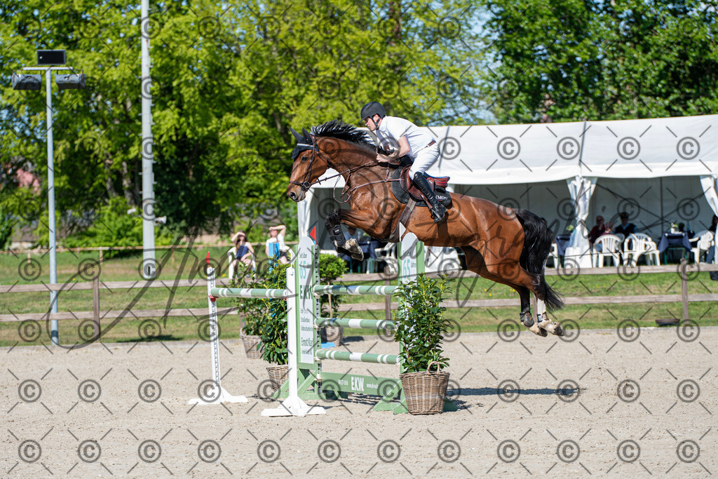 KPT_1557-2 | andre_photographic