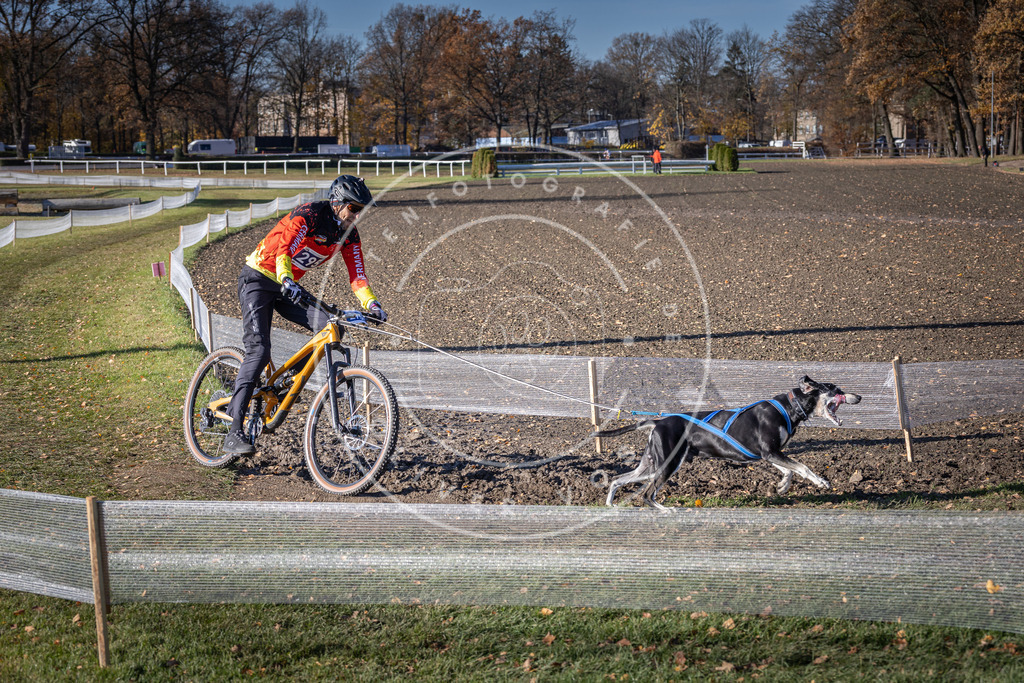CaniXpix_DV3A5962 | Hundefotografie, Tierfotograf, Pfotenfotografie, Fotoshooting Hund, Hunde Portrait, Hundesport, Hundeportraits, Heideshooting, Hunde, Sportfotograf, Hundefotograf, Turnierhundsport, THS,  - Realisiert mit Pictrs.com