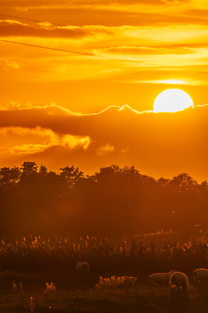 2023_08_04_HETLINGER-SCHANZE_MCP0894 | Hochwertig gedruckte Fotografien für die Wand, als Kalender und zum Verschenken. Hamburg & Norddeutschland und überall wo ich mit der Kamera unterwegs war.