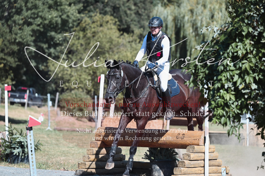 DSC_8481 | Pferde- und Turnierfotografie in Westsachsen. Pferdeportraits, Auftragszeichnungen und intuitive Kunst.