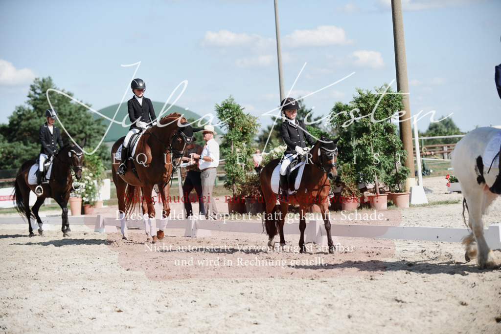 DSC_0146 | Pferde- und Turnierfotografie in Westsachsen. Pferdeportraits, Auftragszeichnungen und intuitive Kunst.