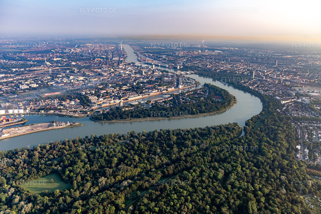 Luftbild: Parkinsel - Stadtpark LU im Ortsteil Süd in Ludwigshafen im Bundesland Rheinland-Pfalz in Deutschland. Foto: IMG_116863.jpg vom 25.08.2019 durch Werner Riehm/FLY-FOTO.de