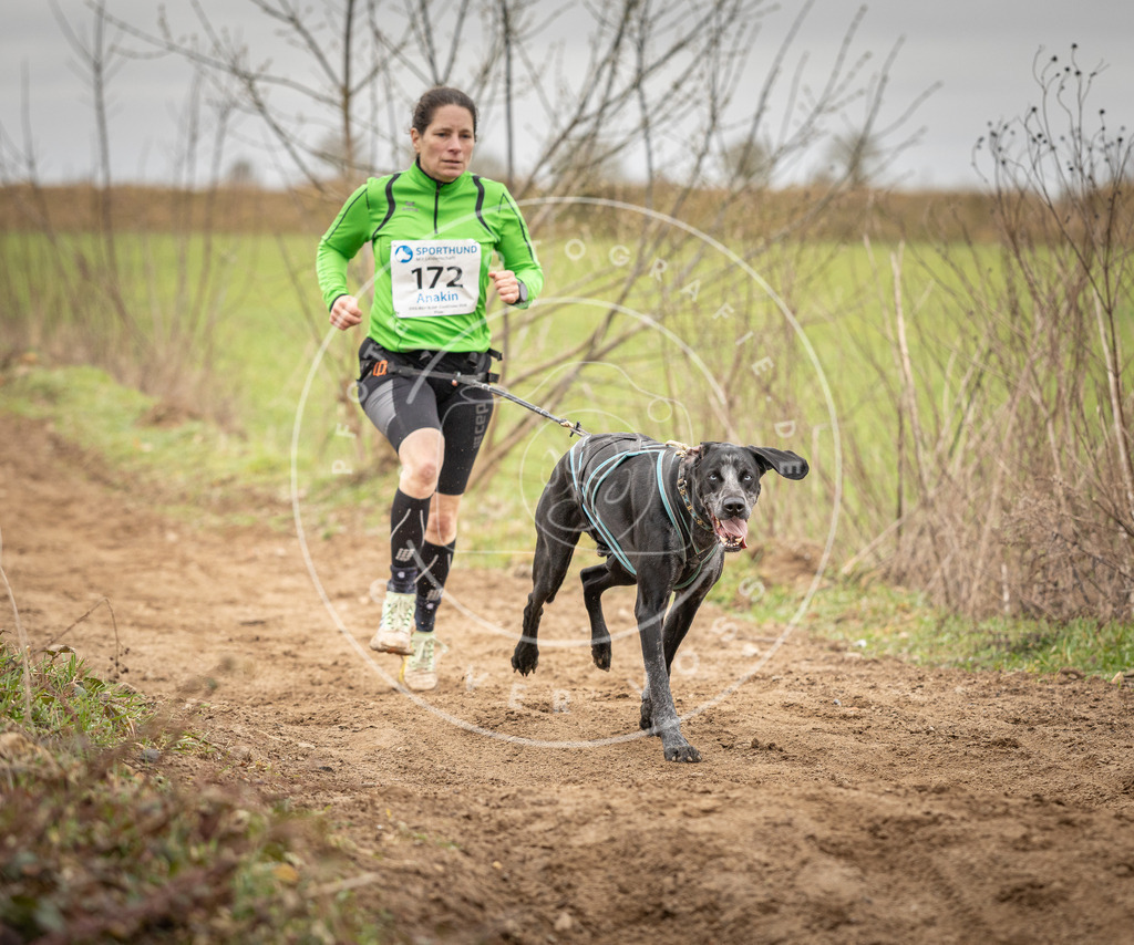 DV3A1972 | Hundefotografie, Tierfotograf, Pfotenfotografie, Fotoshooting Hund, Hunde Portrait, Hundesport, Hundeportraits, Heideshooting, Hunde, Sportfotograf, Hundefotograf, Turnierhundsport, THS,  - Realisiert mit Pictrs.com