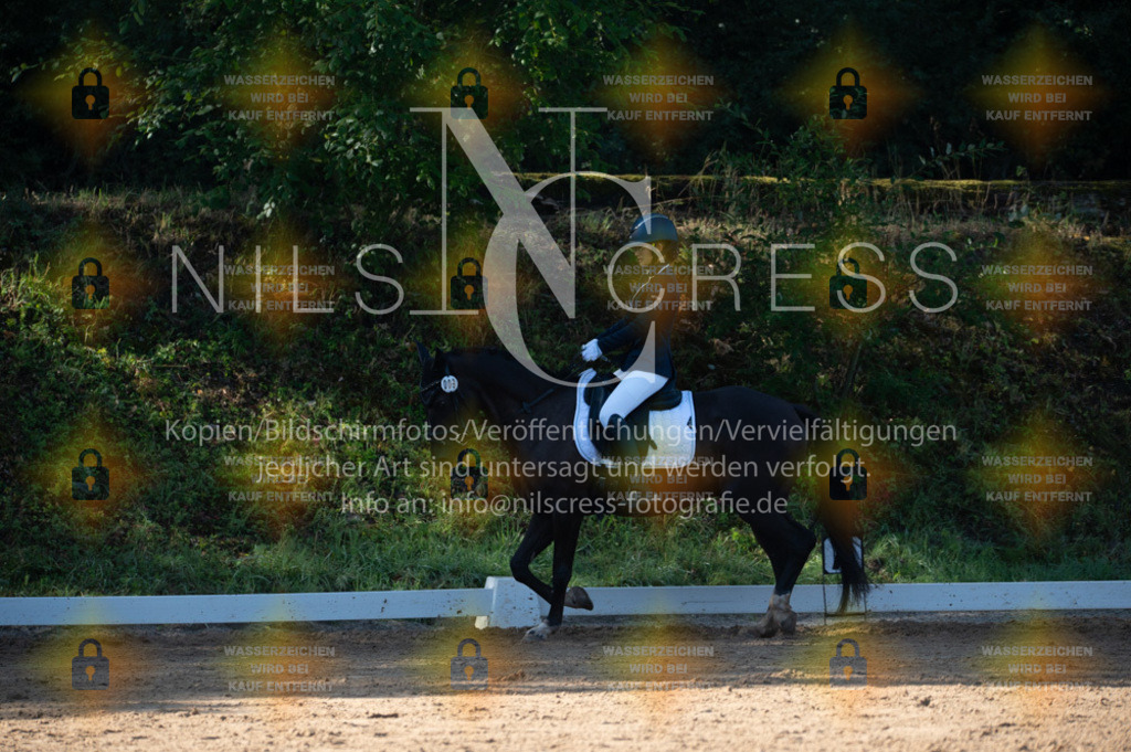 DSC_7872 | Nils Cress - Fotografie - Realisiert mit Pictrs.com