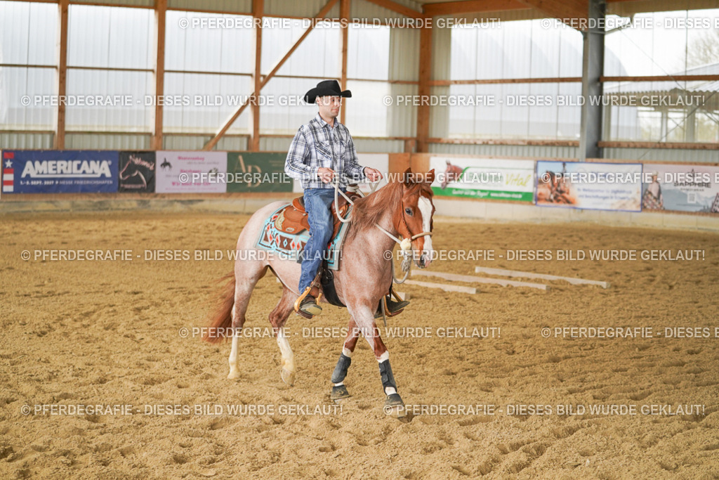 DSC03739 | Pferdegrafie