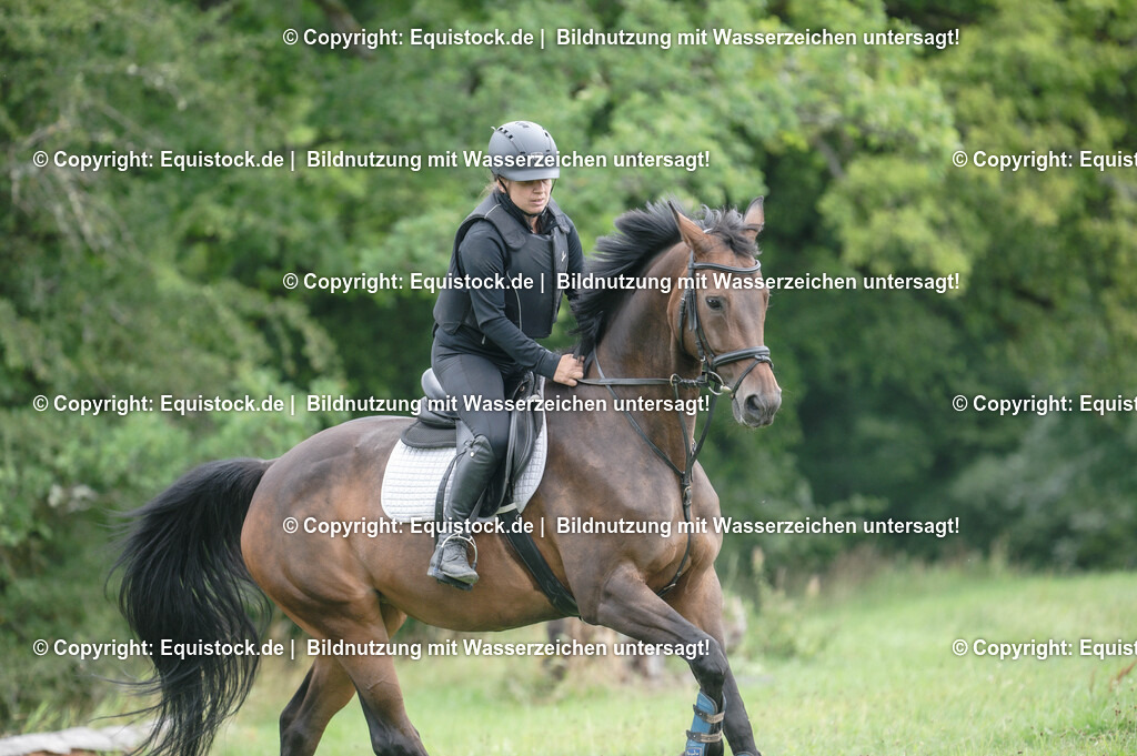20250726_Vielseitigkeitslehrgang-Marbach_0439 | Foto: Thomas Hartig
