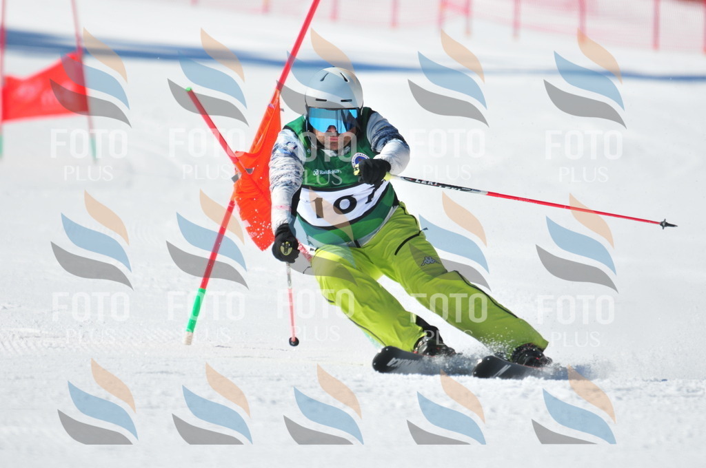 C4349 | holidayphoto