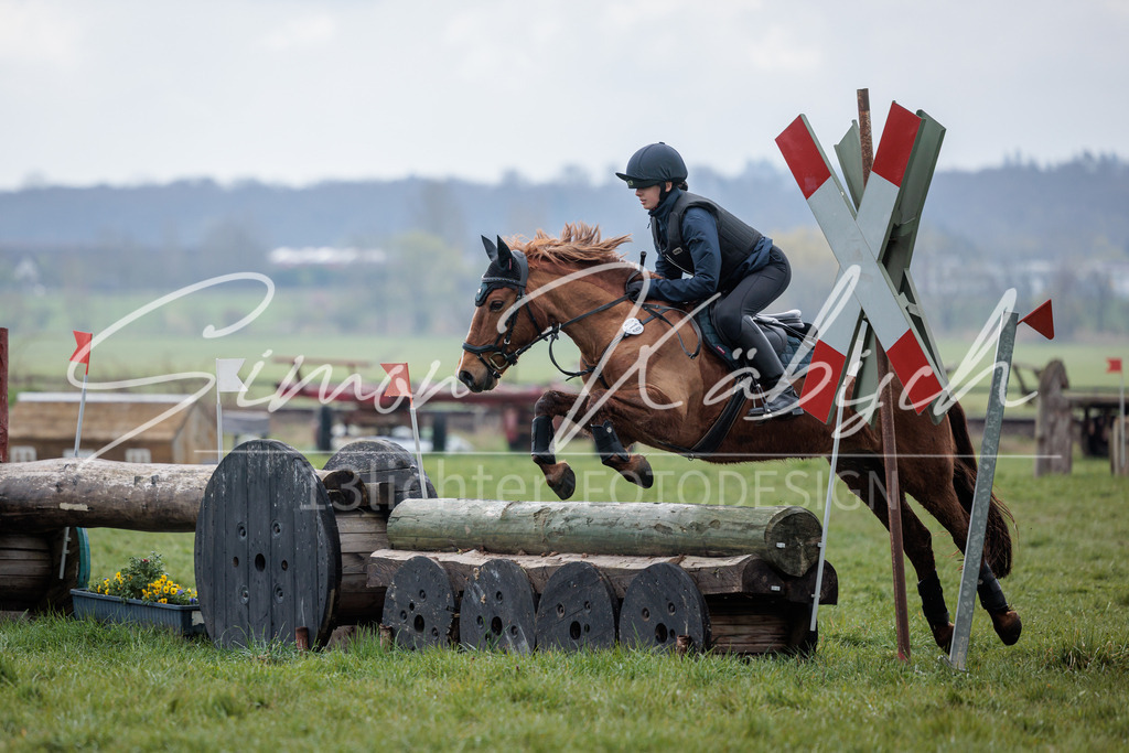 20260329-_3LI4441 | Tierfotografie Pferde, Hunde, Katzen, Haustiere.
Turnierfotografie Reitturniere, Reiten, Springreiten, Dressur in Hanau, dem Main-Kinzig-Kreis und dem Rhein-Main- Gebiet um Frankfurt