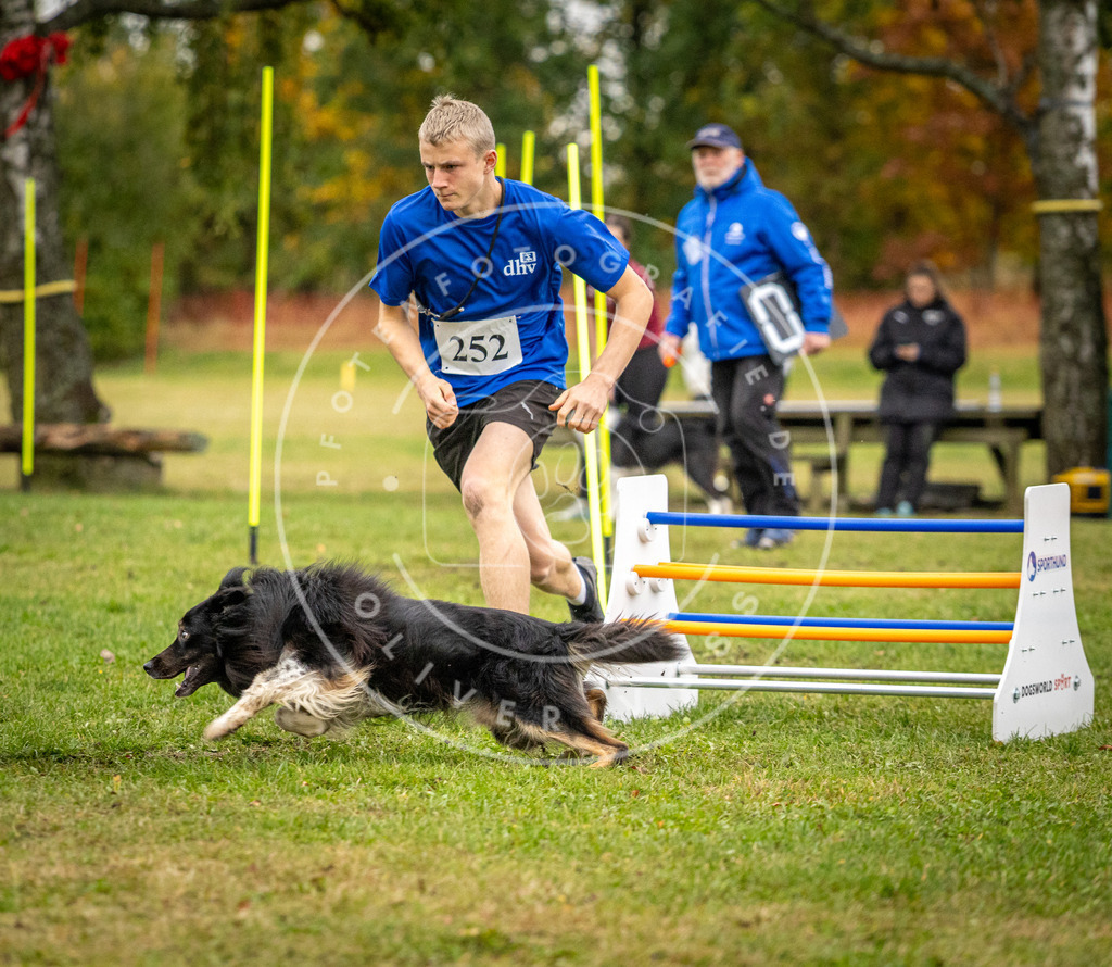 Pfotenfotografie_DV3A0529 | Hundefotografie, Tierfotograf, Pfotenfotografie, Fotoshooting Hund, Hunde Portrait, Hundesport, Hundeportraits, Heideshooting, Hunde, Sportfotograf, Hundefotograf, Turnierhundsport, THS,  - Realisiert mit Pictrs.com