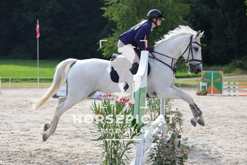 0P6A5939 | Willkommen bei Brunnmayr - Design & Fotografie – Ihrem Spezialisten für Reitturniere und Pferdeveranstaltungen in Oberösterreich, Salzburg und Bayern! Seit über 17 Jahren sind wir leidenschaftlich dabei.