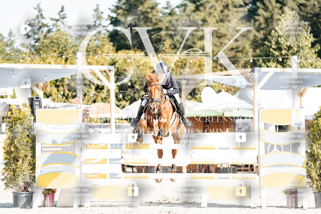 CK901777 | Turnierfotografie Pferdefotografie Trier Rheinland-Pfalz Pferdesport Reitsport Tierfotografie Sportfotografie Pferdevideo Pferdevideografie Equestrianvideography equestrianphotography  - Realisiert mit Pictrs.com