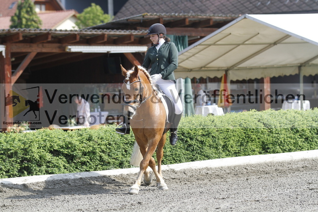 _MG_9426 | equestrian-live-com