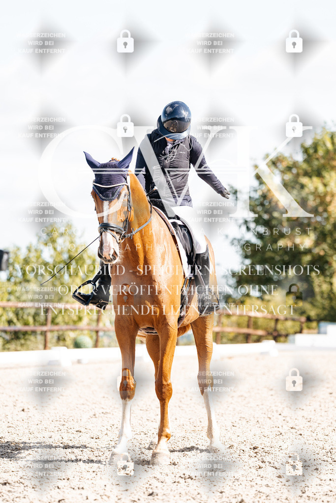 CK902509 | Turnierfotografie Pferdefotografie Trier Rheinland-Pfalz Pferdesport Reitsport Tierfotografie Sportfotografie Pferdevideo Pferdevideografie Equestrianvideography equestrianphotography  - Realisiert mit Pictrs.com