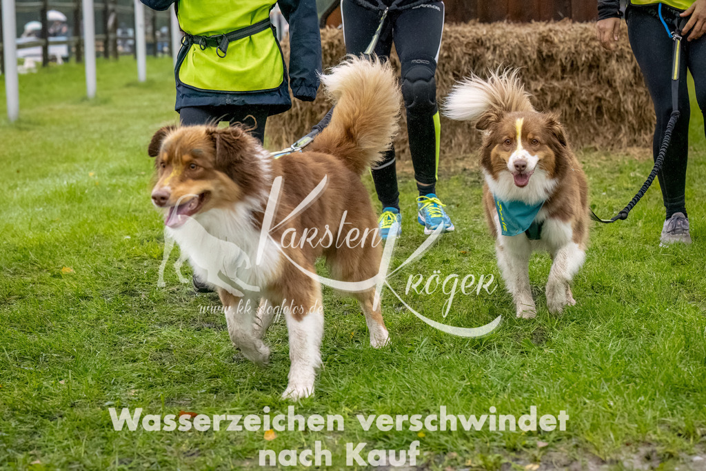 1018--18 | kk-dogfotos