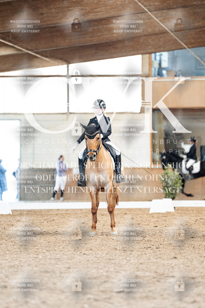 CK909700 | Turnierfotografie Pferdefotografie Trier Rheinland-Pfalz Pferdesport Reitsport Tierfotografie Sportfotografie Pferdevideo Pferdevideografie Equestrianvideography equestrianphotography  - Realisiert mit Pictrs.com
