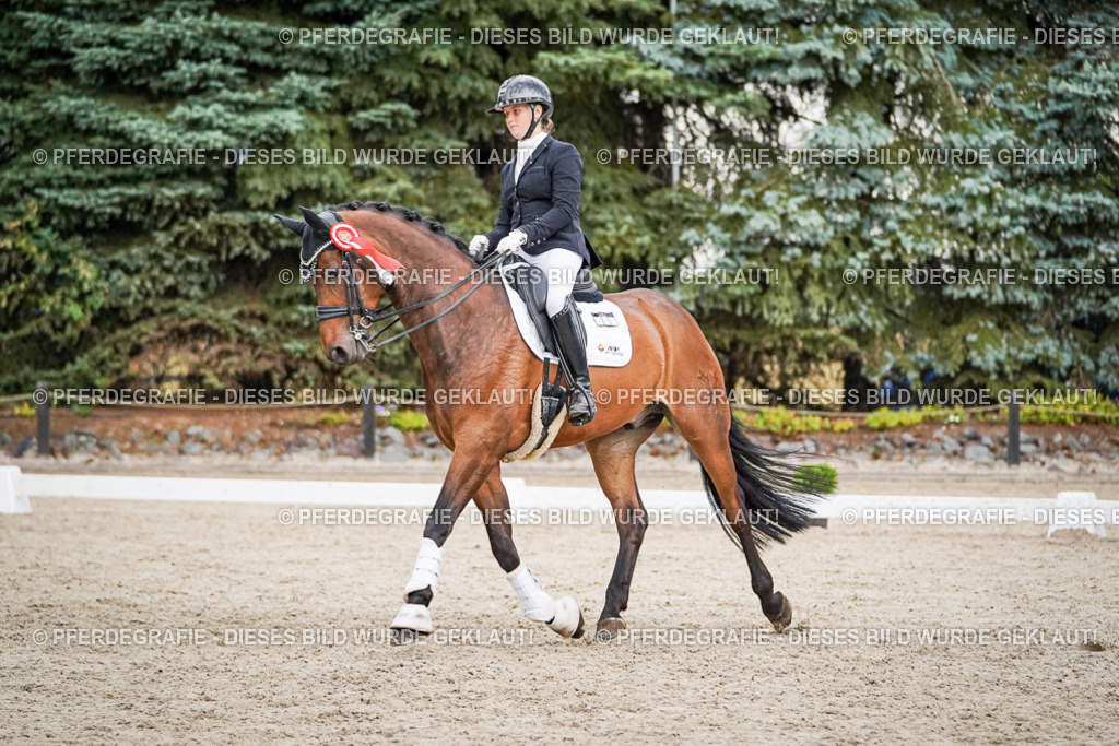 DSC00034 | Pferdegrafie