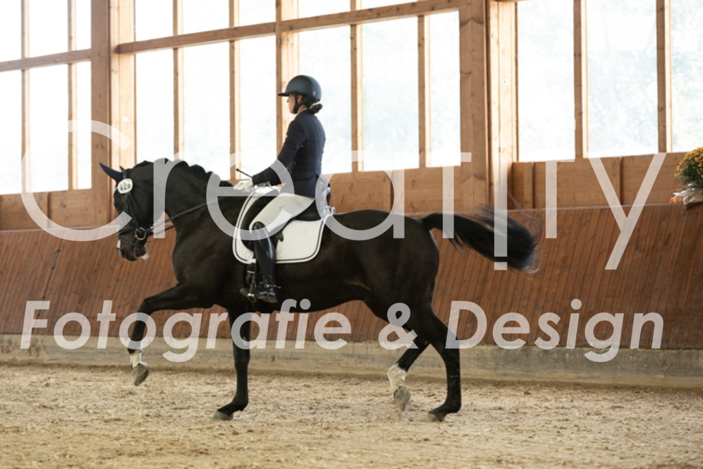 IMG_2888 | Creatify Fotografie