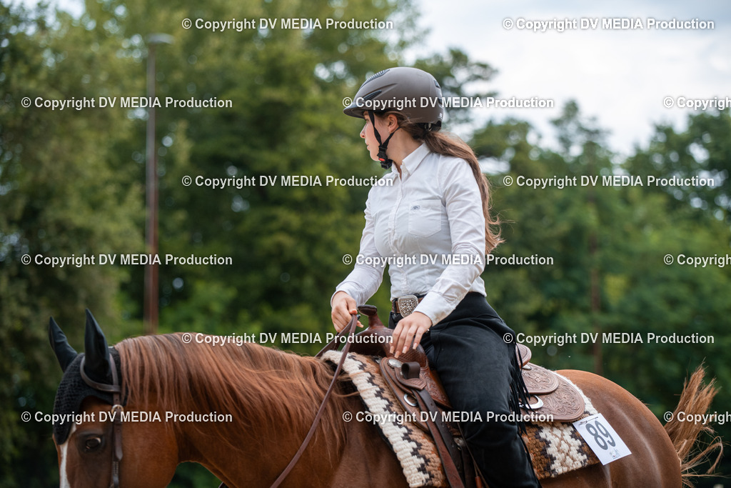 ZS2_8625 | dv-media-shop - Realisiert mit Pictrs.com