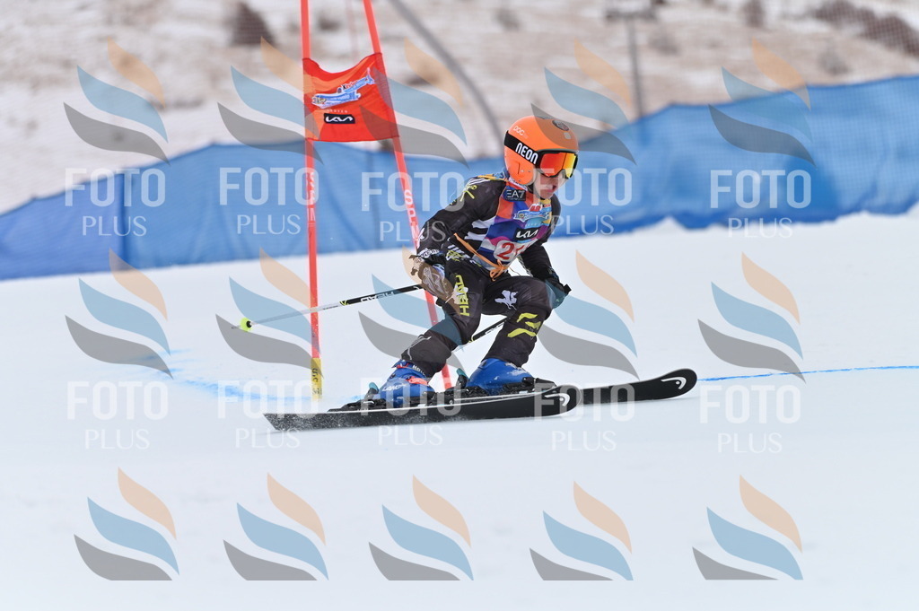 BGV_2465 | holidayphoto