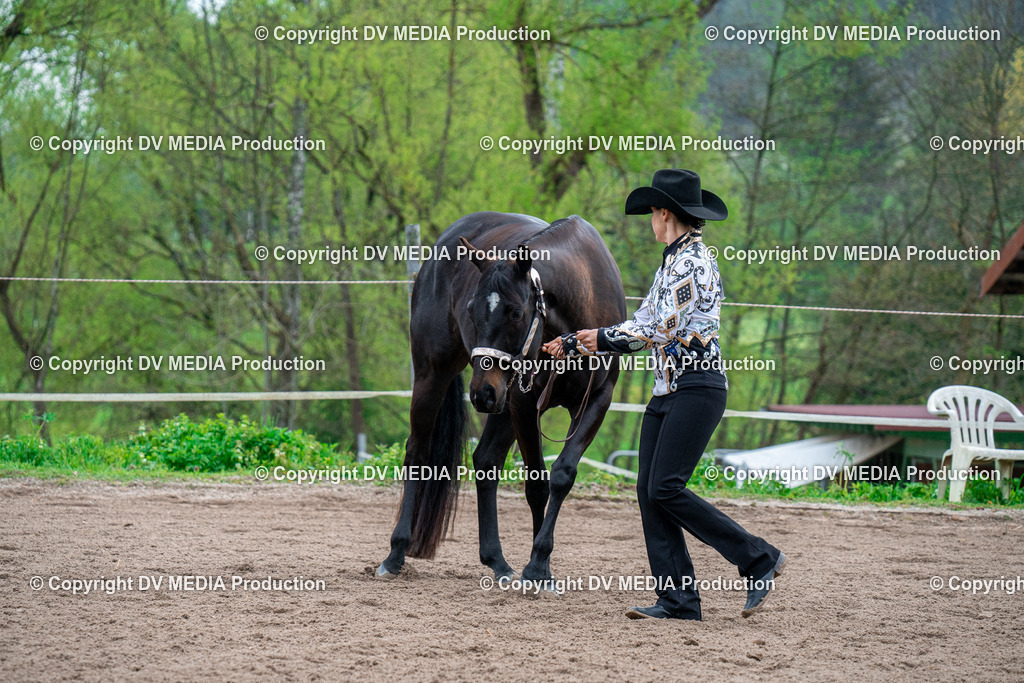 BA300129 | dv-media-shop - Realisiert mit Pictrs.com