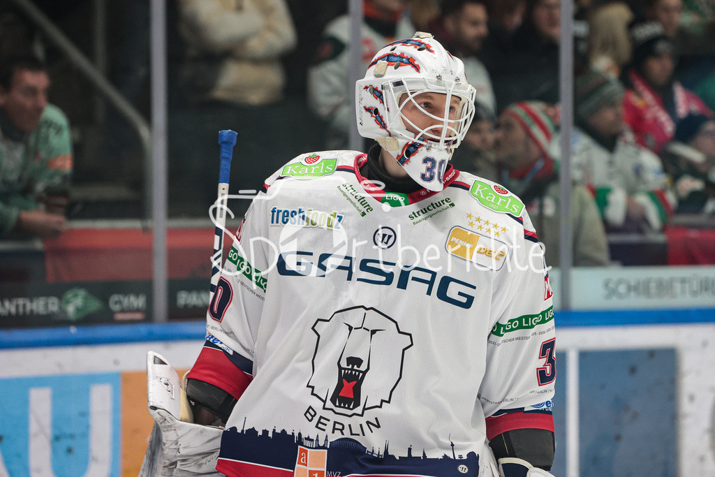 Augsburger Panther - Eisbaeren Berlin | Juho MARKKANEN (EBB #30) in Aktion
