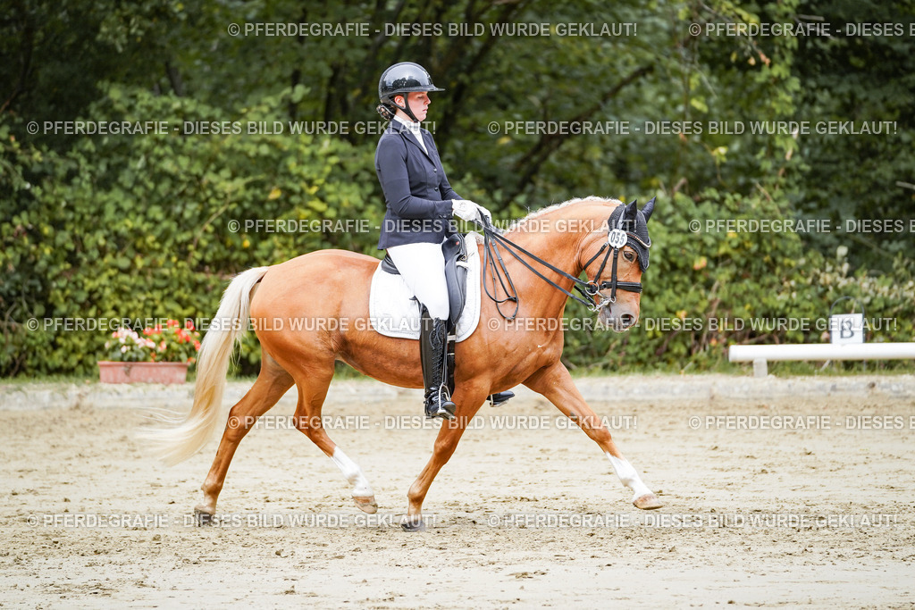 DSC04129 | Pferdegrafie