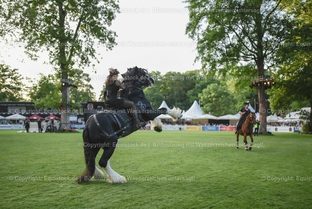 20230526_Pferdenacht_0300 | equistock