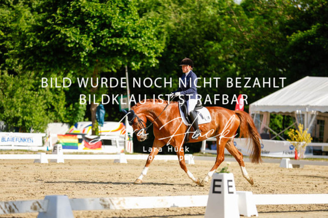 _62_2382 | larahueckfotografie