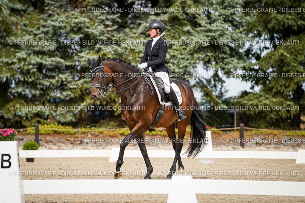 DSC06166 | Pferdegrafie