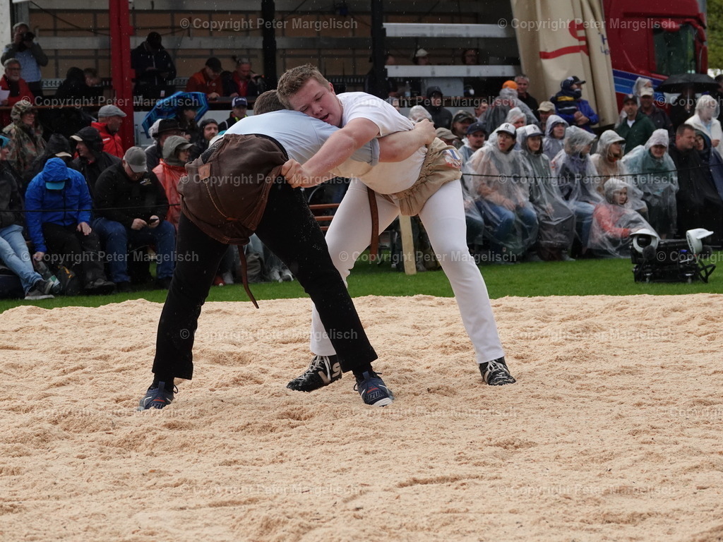 DSC06264 | Schwingen - Realisiert mit Pictrs.com