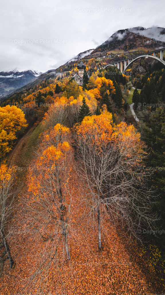 Burg Finkenstein Herbst-5 | piet_flosse