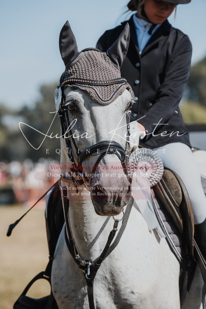 DSC_6401 | Pferde- und Turnierfotografie in Westsachsen. Pferdeportraits, Auftragszeichnungen und intuitive Kunst.