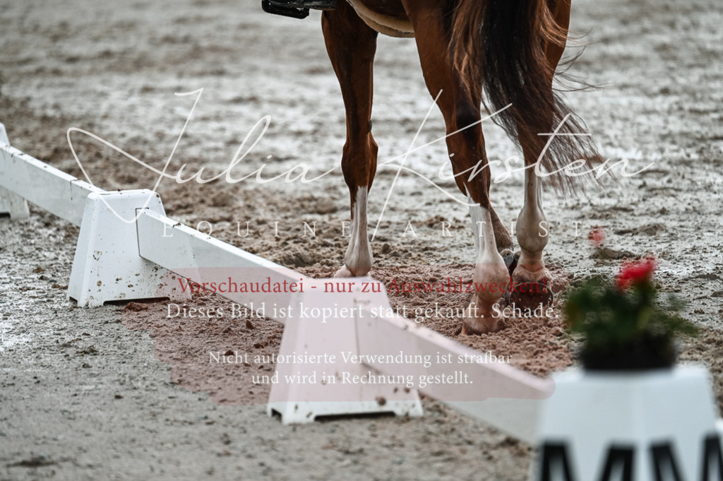 DSC_4299 | Pferde- und Turnierfotografie in Westsachsen. Pferdeportraits, Auftragszeichnungen und intuitive Kunst.
