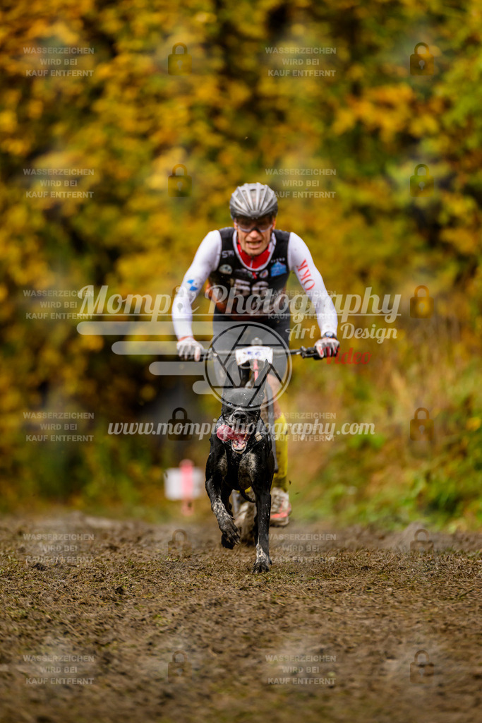 MompixPhotography_ICF_WC_2024_SA_DS_-124 | PayLife