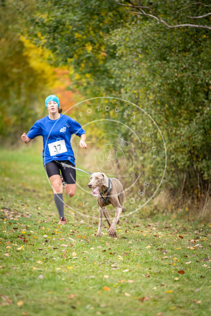 Pfotenfotografie_DV3A2164 | Hundefotografie, Tierfotograf, Pfotenfotografie, Fotoshooting Hund, Hunde Portrait, Hundesport, Hundeportraits, Heideshooting, Hunde, Sportfotograf, Hundefotograf, Turnierhundsport, THS,  - Realisiert mit Pictrs.com