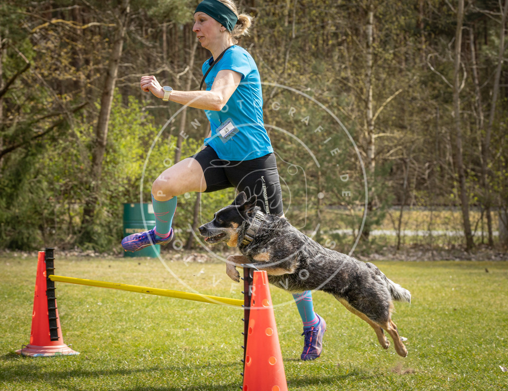 Pfotenfotografie_DV3A6543 | Hundefotografie, Tierfotograf, Pfotenfotografie, Fotoshooting Hund, Hunde Portrait, Hundesport, Hundeportraits, Heideshooting, Hunde, Sportfotograf, Hundefotograf, Turnierhundsport, THS,  - Realisiert mit Pictrs.com