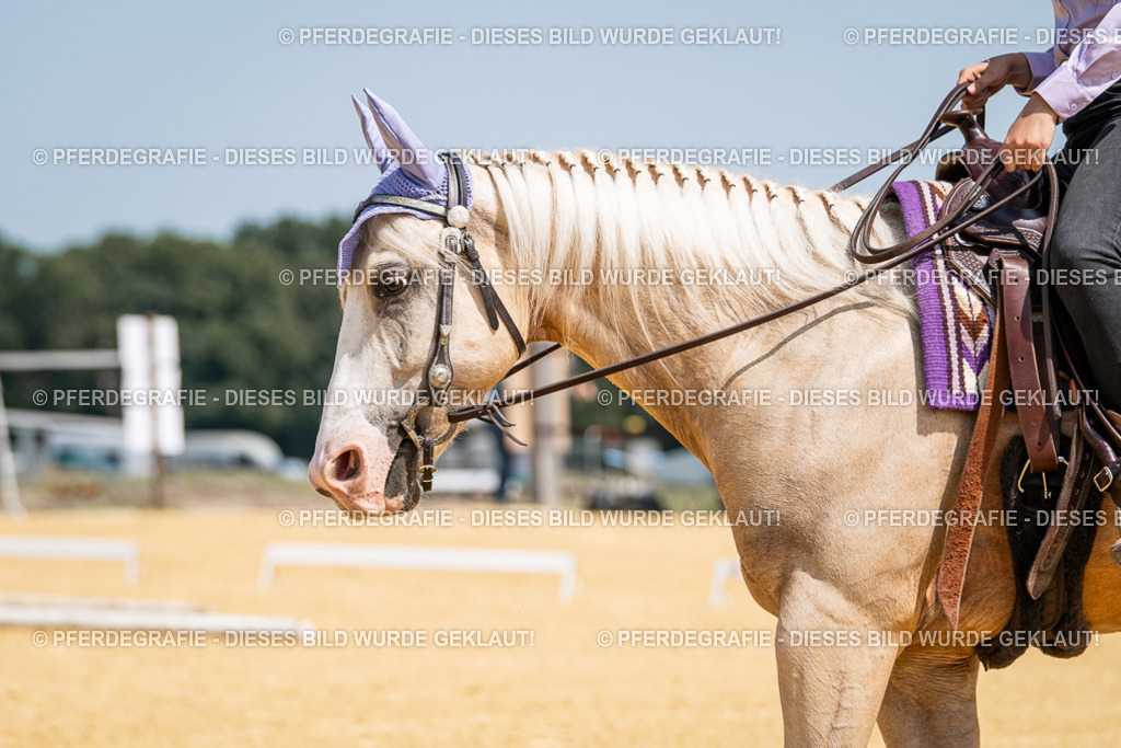 DSC01106 | Pferdegrafie