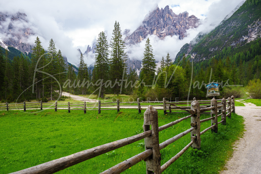 _DSC4798 | Baumgartner Markus Fotografie