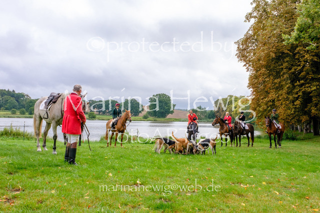 Jagd Kletkamp 26-9596_MarinaHewig | Fotografie, FotoArt, PferdesportArt, Pferdesportfotografie, Landschaftsfotografie, Reisefotografie, Reise, Pferde - Realisiert mit Pictrs.com