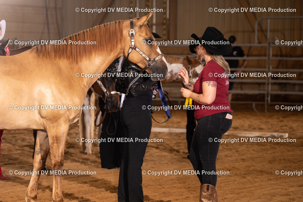 NID00071 | dv-media-shop - Realisiert mit Pictrs.com