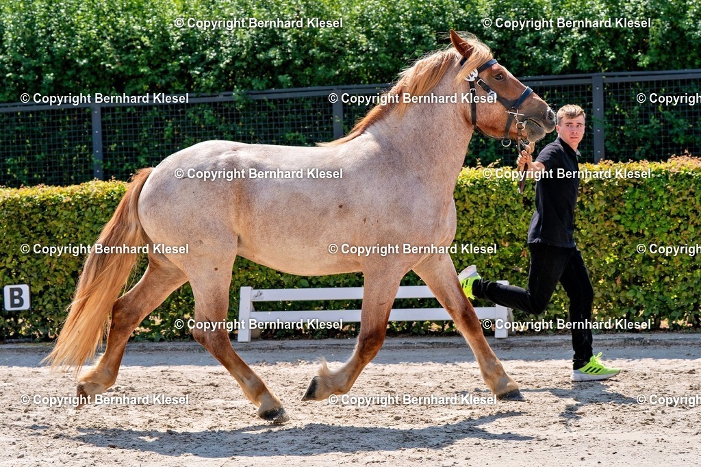 2A900574 | foto-team-bernhard - Realisiert mit Pictrs.com