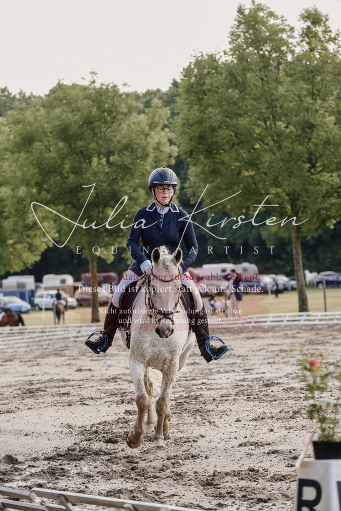 DSC_7997 | Pferde- und Turnierfotografie in Westsachsen. Pferdeportraits, Auftragszeichnungen und intuitive Kunst.